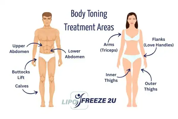 Graphic showing where you can have Body toning Treatment Livingston on your body